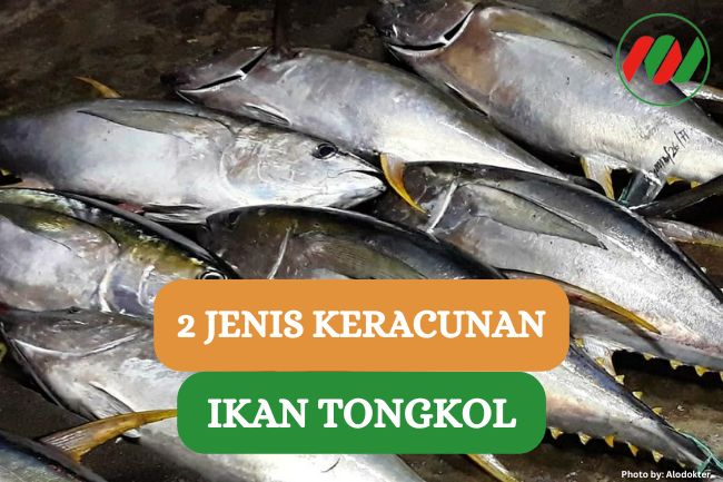 Ini Dia Dua Jenis Keracunan Ikan Tongkol yang Harus Kamu Tau